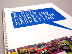 E-mail et permission marketing